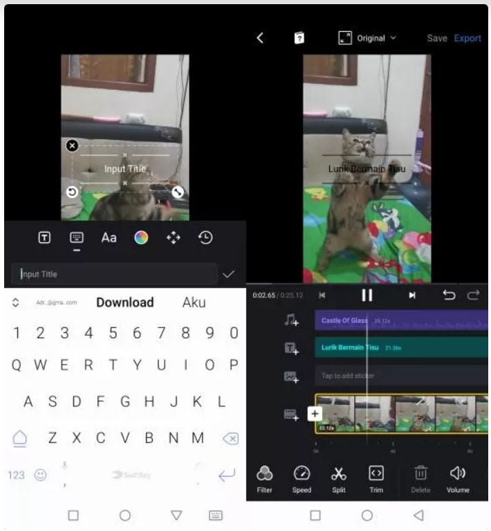Cara Menambahkan Subtitle Di Aplikasi Vn Video Editor