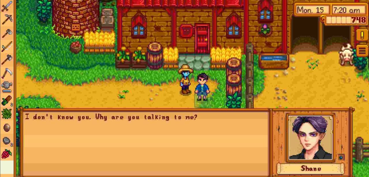 Install Stardew Valley