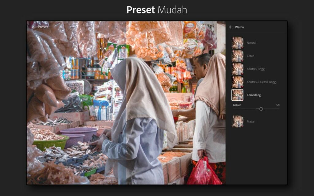 Lightroom Mod Apk Latest Version 2023