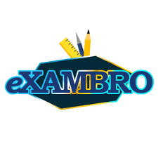 Exambro