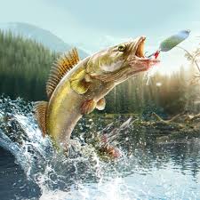 Professional Fishing